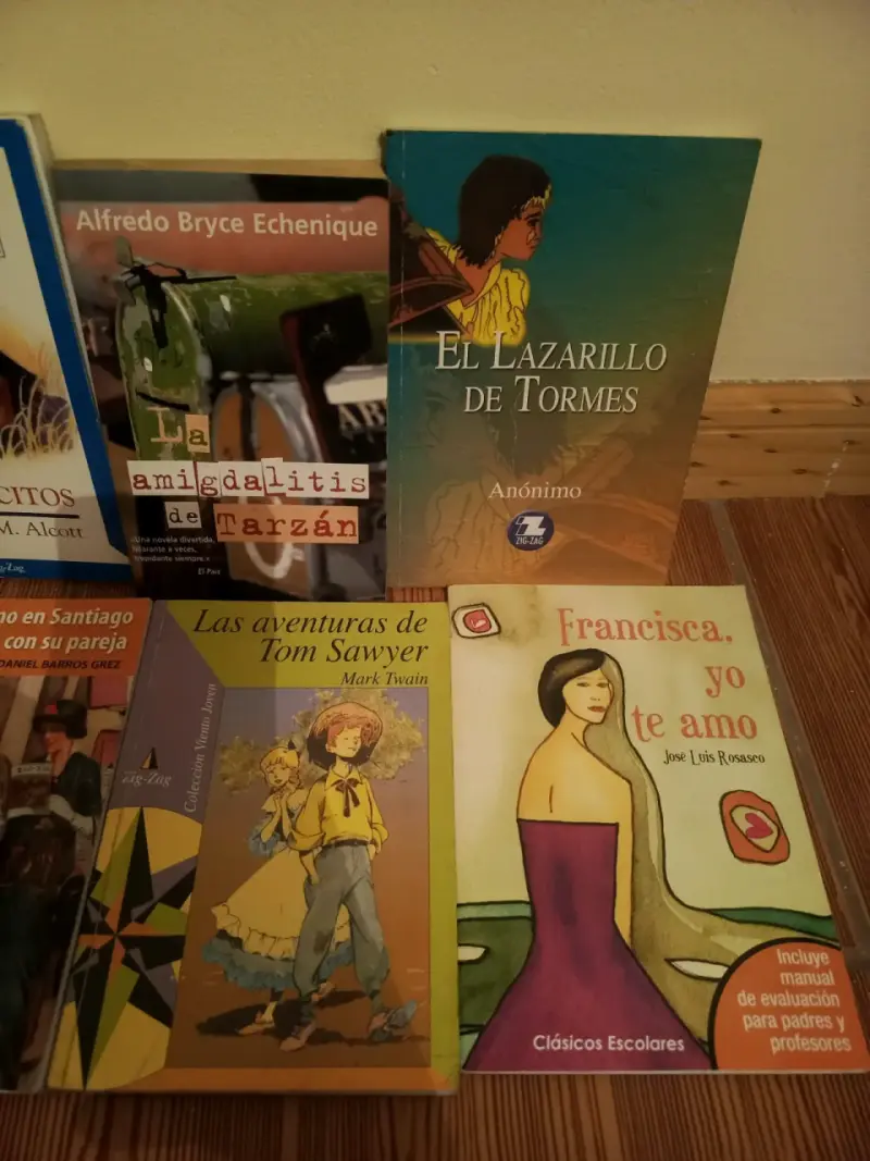 Lote de libros variados - 3