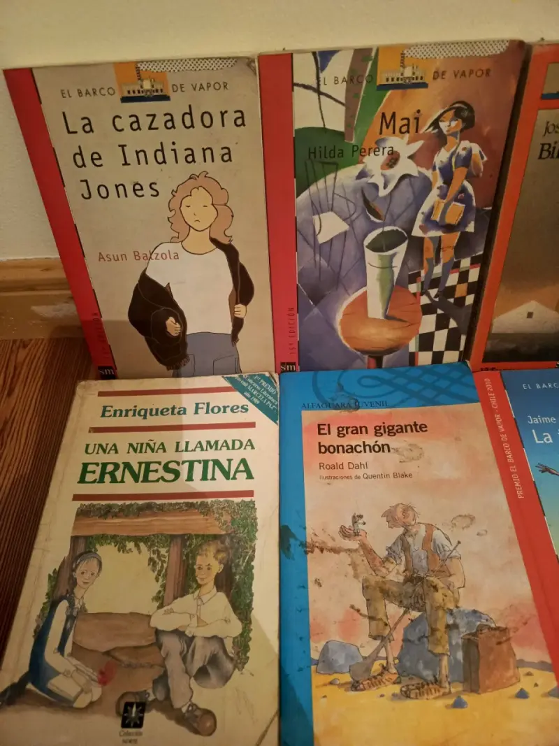 Lote de libros infantiles(+12años) - 2