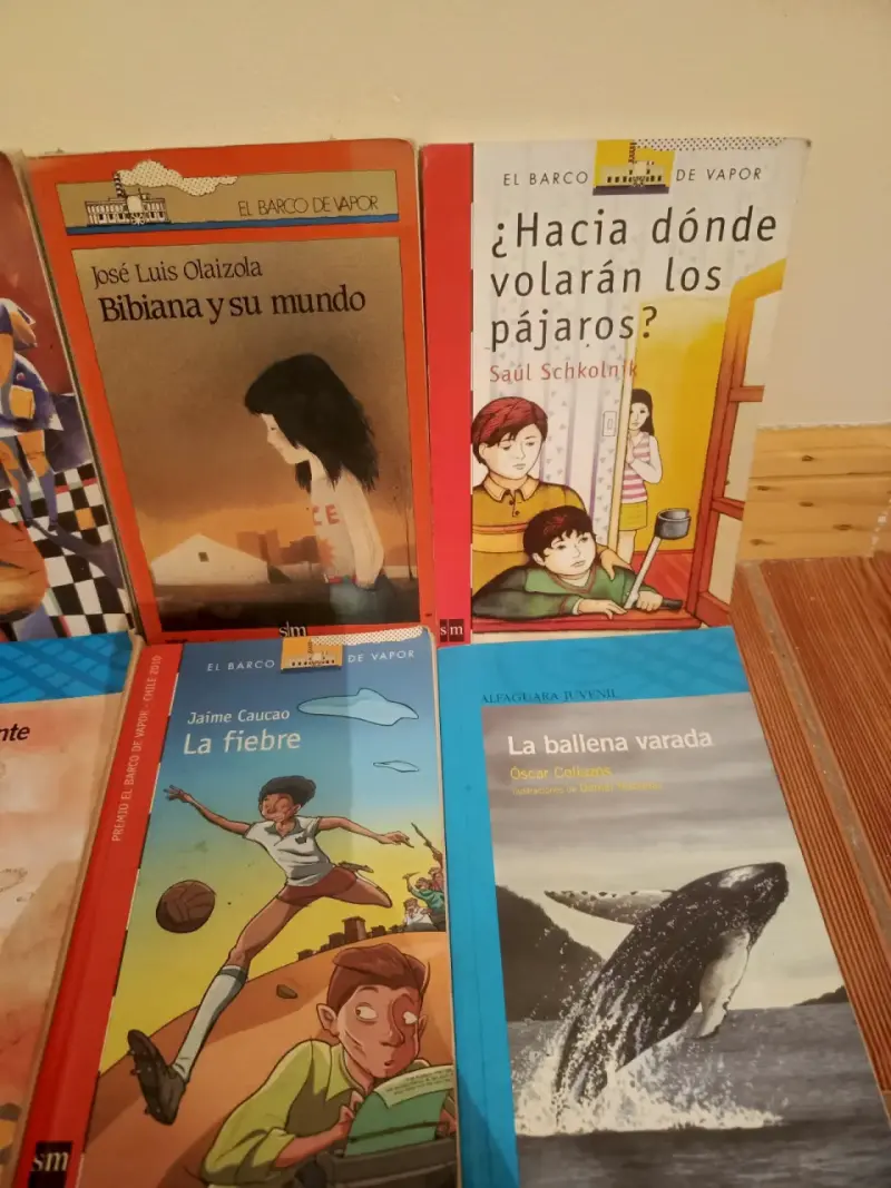 Lote de libros infantiles(+12años) - 3