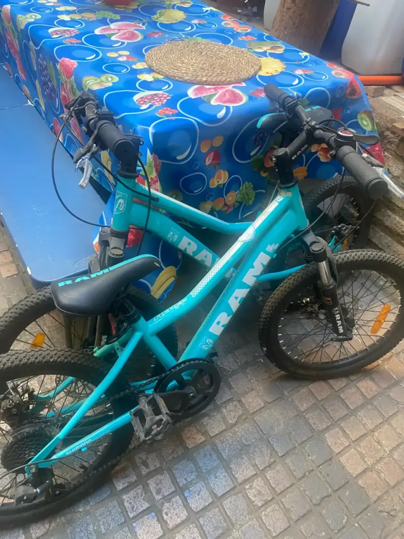 Bicicleta Infantil Ram Aro 20" - 2