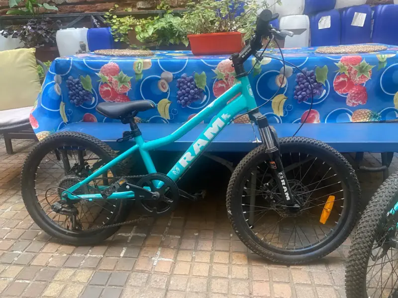Bicicleta Infantil Ram Aro 20" - 3