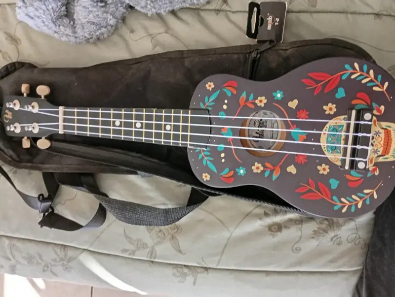 Ukulele decorado con funda - 2