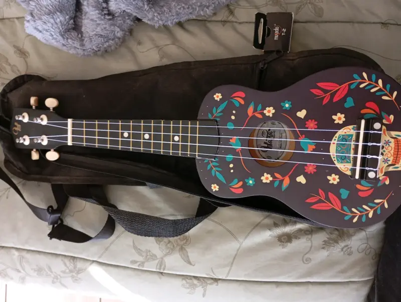 Ukulele decorado con funda - 3