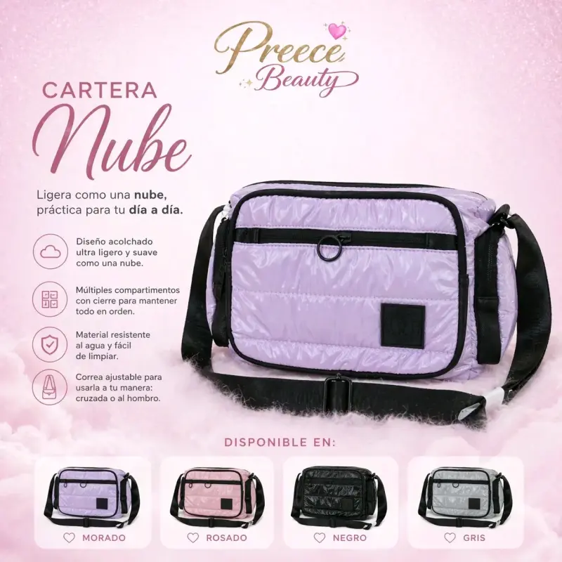 Cartera nube - 2