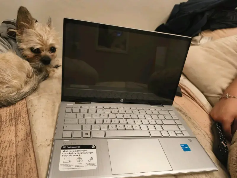 Notebook HP plateado - 2