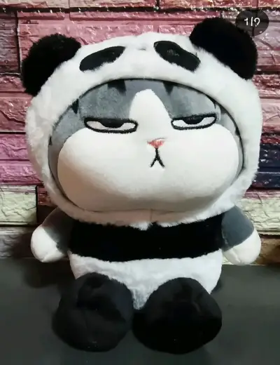 Gato panda presumido - miniatura 1