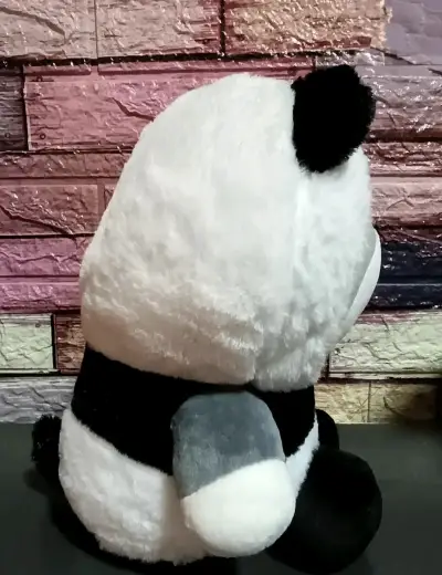 Gato panda presumido - miniatura 2