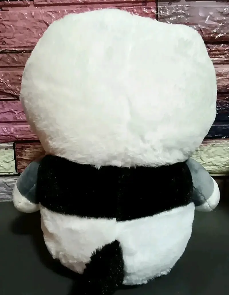 Gato panda presumido - 3