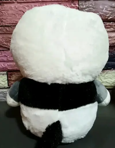 Gato panda presumido - miniatura 3