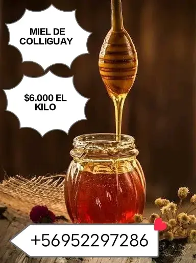 Miel de Colliguay artesanal