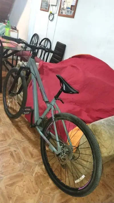 Bicicleta de montaña gris - miniatura 1