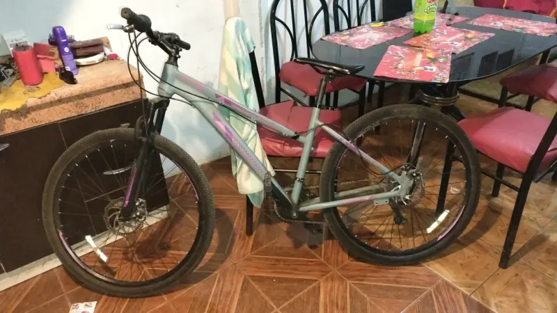 Bicicleta de montaña gris - 3