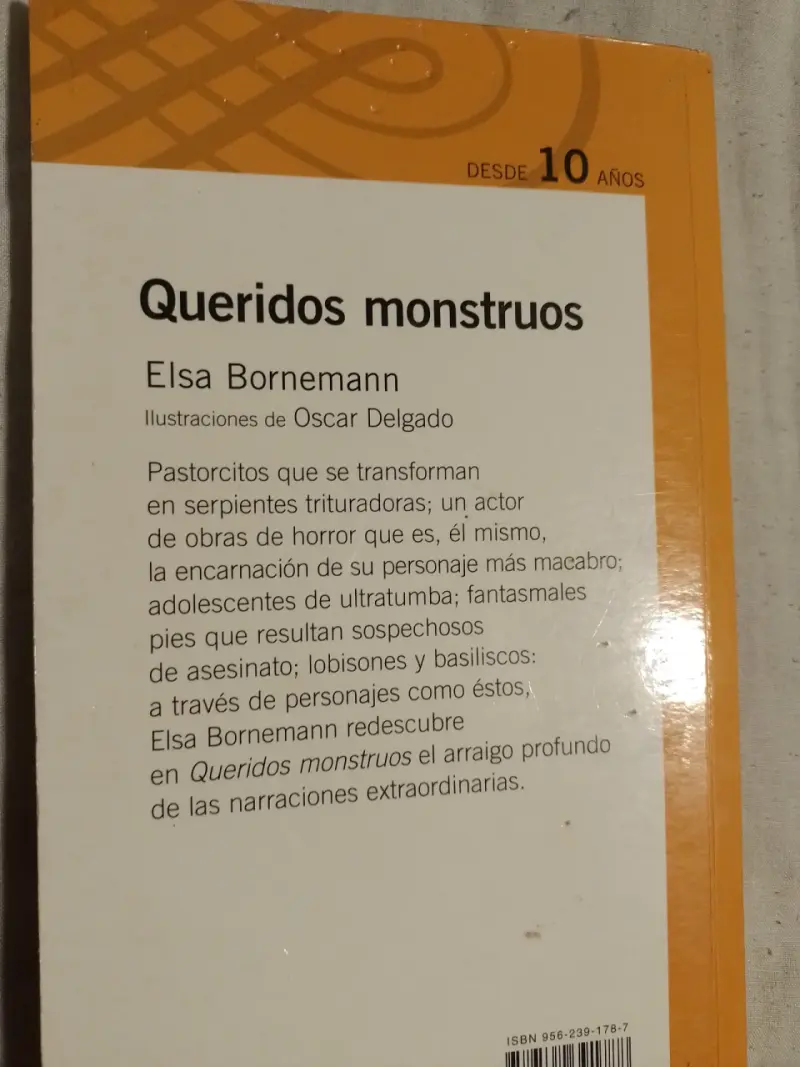Libro Queridos Monstruos Elsa Bornemann - 2