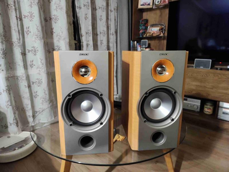 Parlantes Sony NX1 - 1