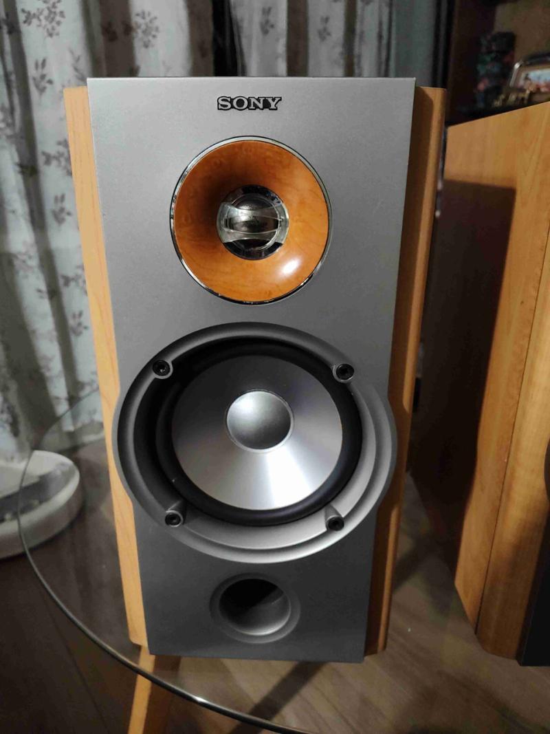 Parlantes Sony NX1 - 3