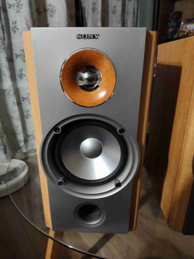 Parlantes Sony NX1 - miniatura 3
