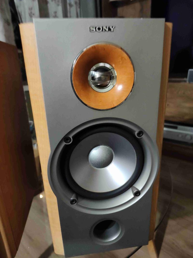 Parlantes Sony NX1 - 4