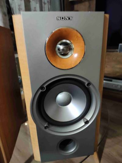 Parlantes Sony NX1 - miniatura 4