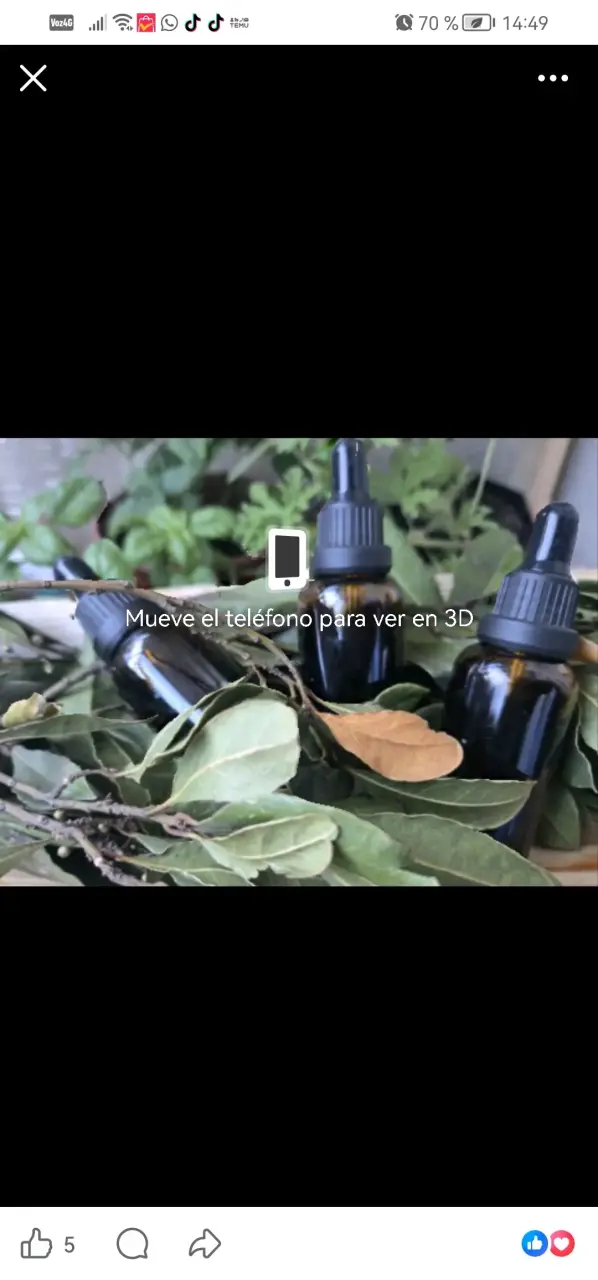 Botellas de aceite de oliva premium - 3