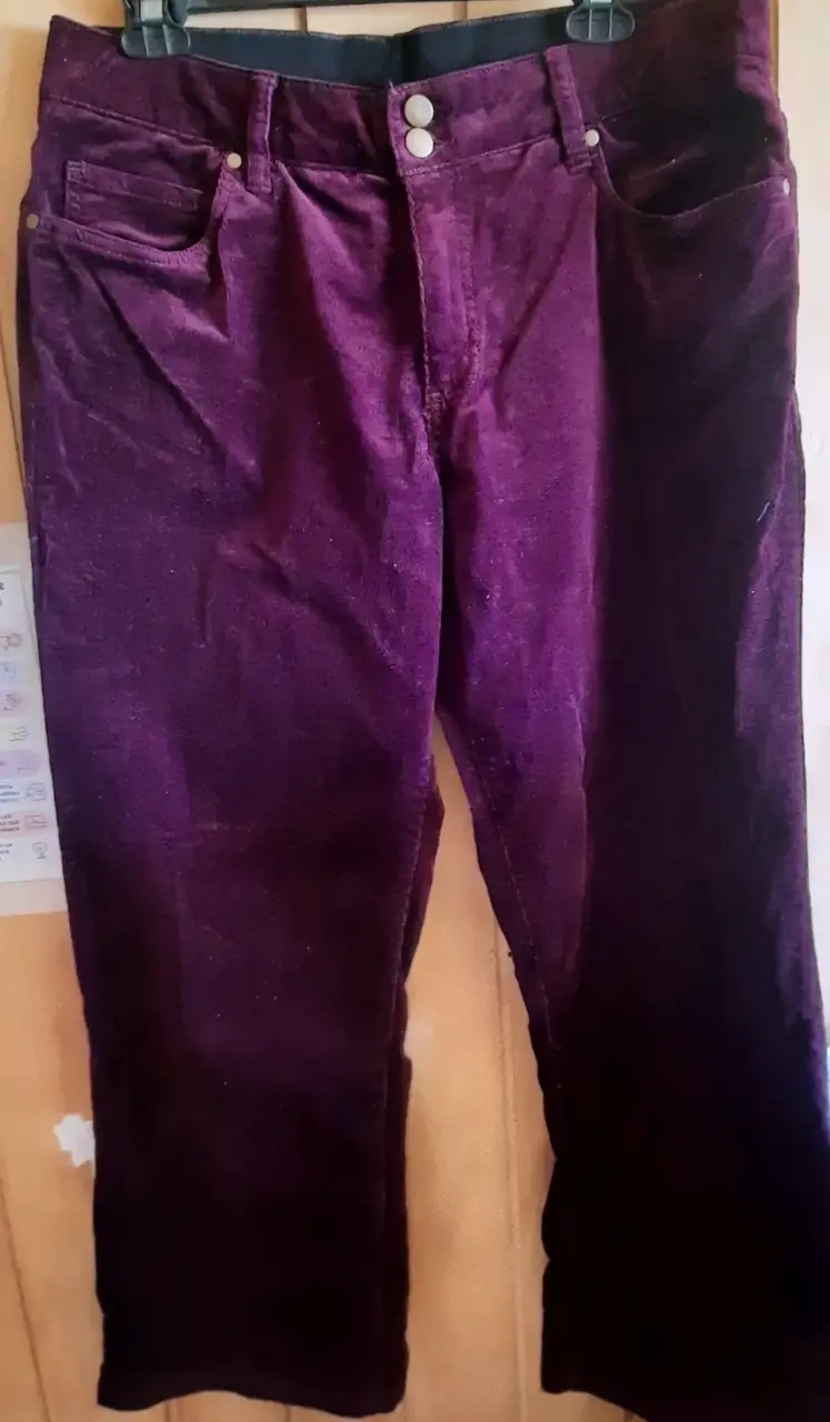 Jeans de terciopelo morado - 1