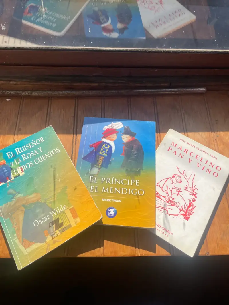 Lote de libros clásicos - 1