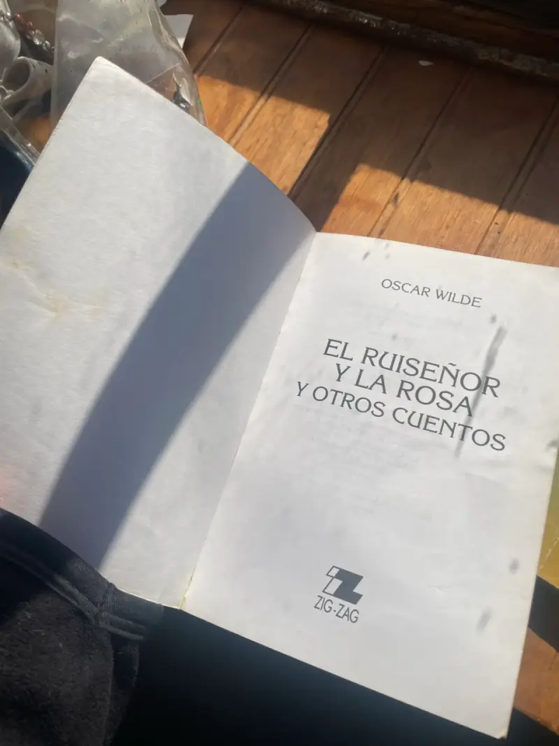 Lote de libros clásicos - 5
