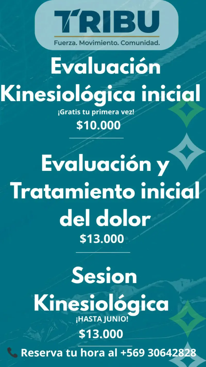 Kinesiología y entrenamiento funcional - 2