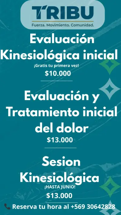 Kinesiología y entrenamiento funcional - miniatura 2