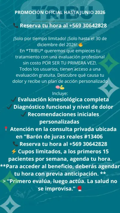 Kinesiología y entrenamiento funcional - miniatura 3