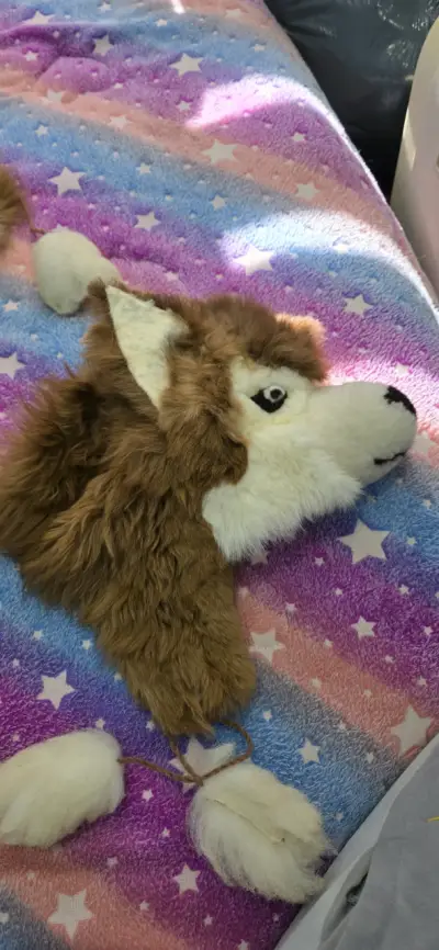 Gorro peludo lobo - miniatura 3