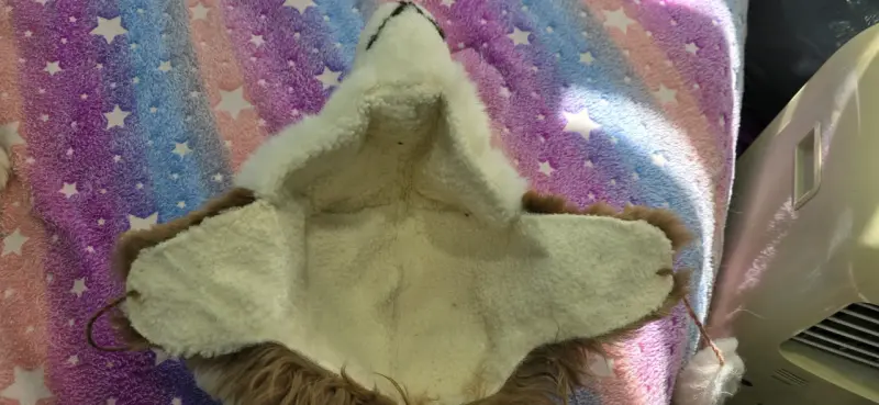 Gorro peludo lobo - 4
