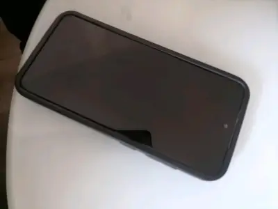 Samsug Galaxy s21 FE 5G - miniatura 3