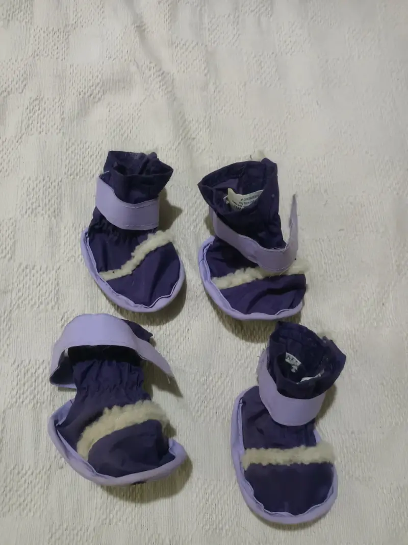 Botas para perro moradas - 1