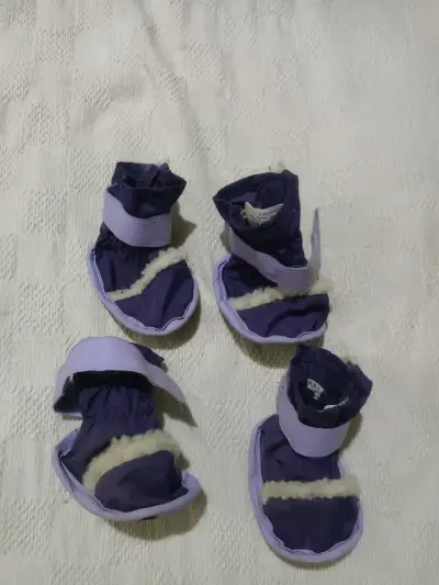 Botas para perro moradas - miniatura 1