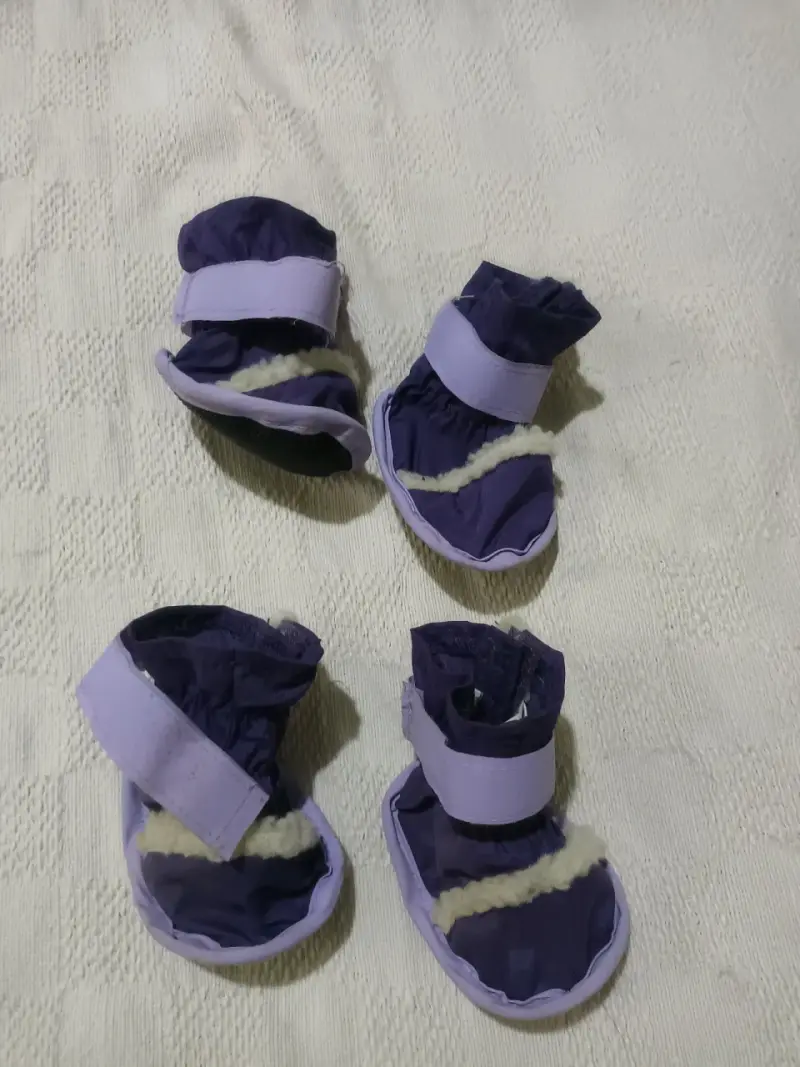 Botas para perro moradas - 2