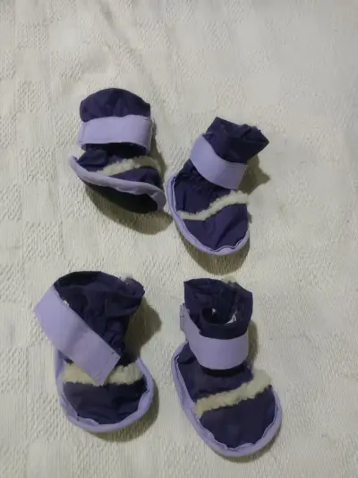 Botas para perro moradas - miniatura 2