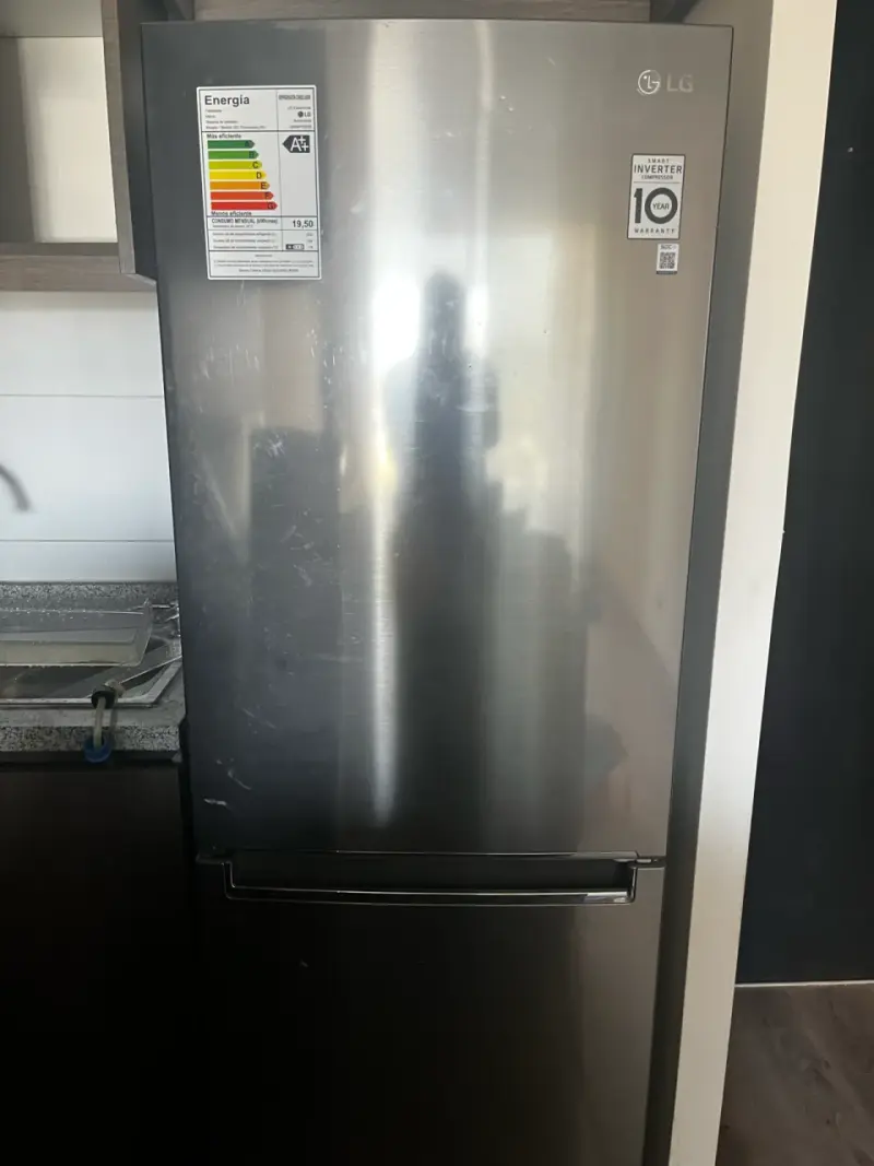 Refrigerador LG Inverter Plateado - 1