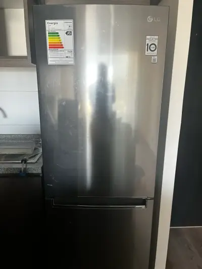 Refrigerador LG Inverter Plateado - miniatura 1