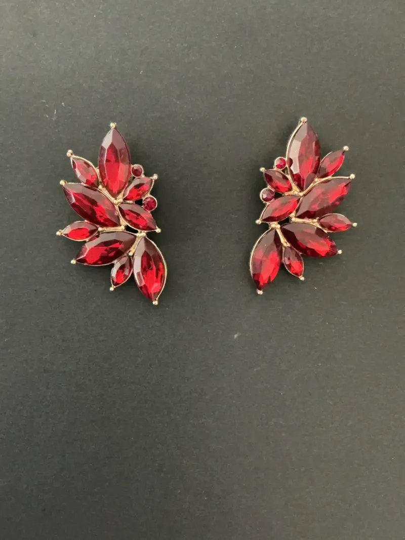 Aros rojos elegantes - 1