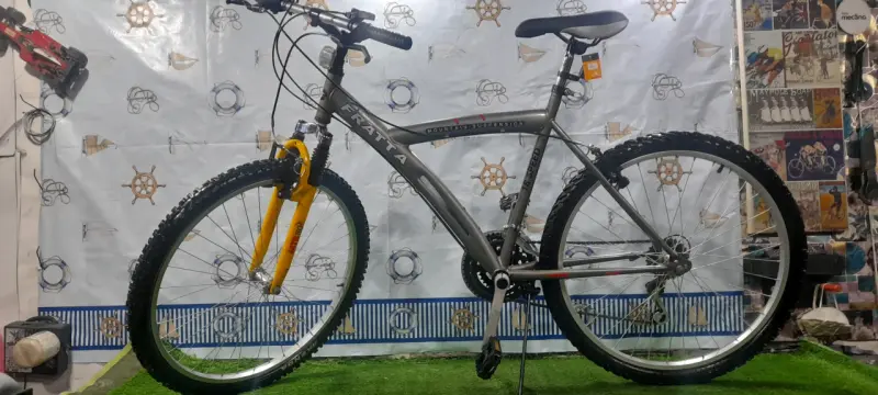 Bicicleta mountain bike 16 velocidades - 2