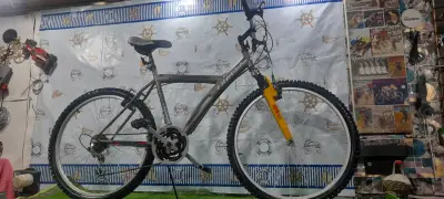 Bicicleta mountain bike 16 velocidades - miniatura 4