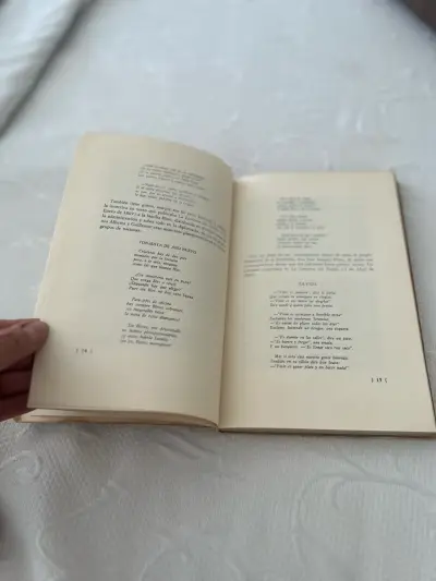 Libro La vida santiaguina - miniatura 3