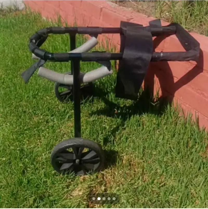Andador para perro con ruedas - 2