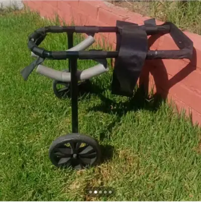 Andador para perro con ruedas - miniatura 2