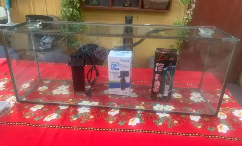 Acuario de vidrio con accesorios - 2
