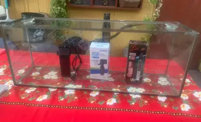 Acuario de vidrio con accesorios - miniatura 2