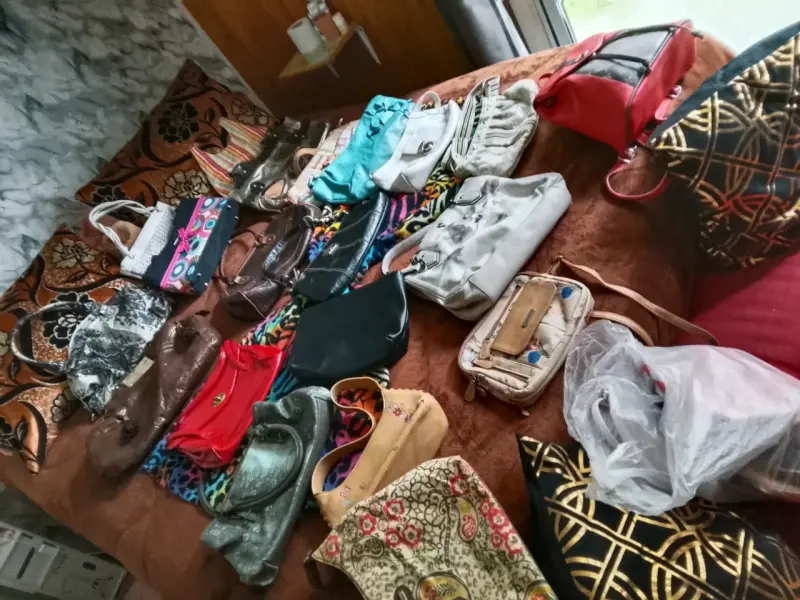 Lote de carteras variadas - 1