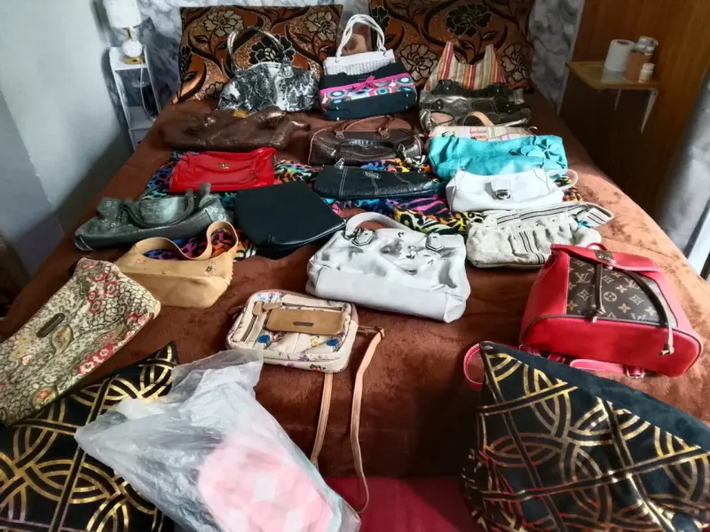 Lote de carteras variadas - 2