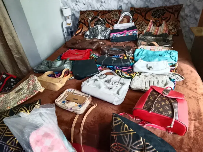 Lote de carteras variadas - 3