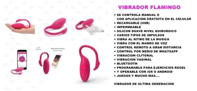 Juguete masajeador Flamingo rosa - miniatura 3
